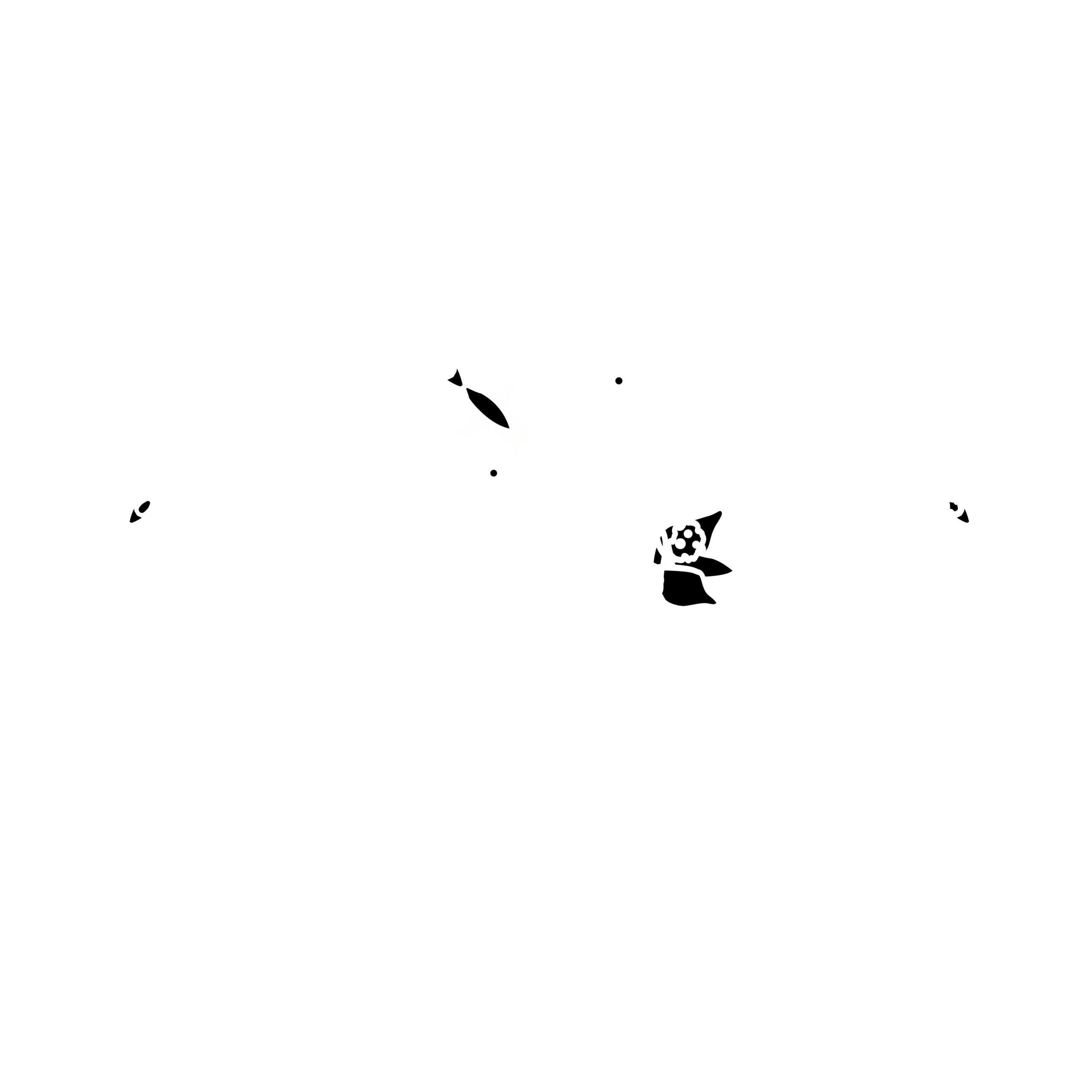 TYC Coffee Roastery